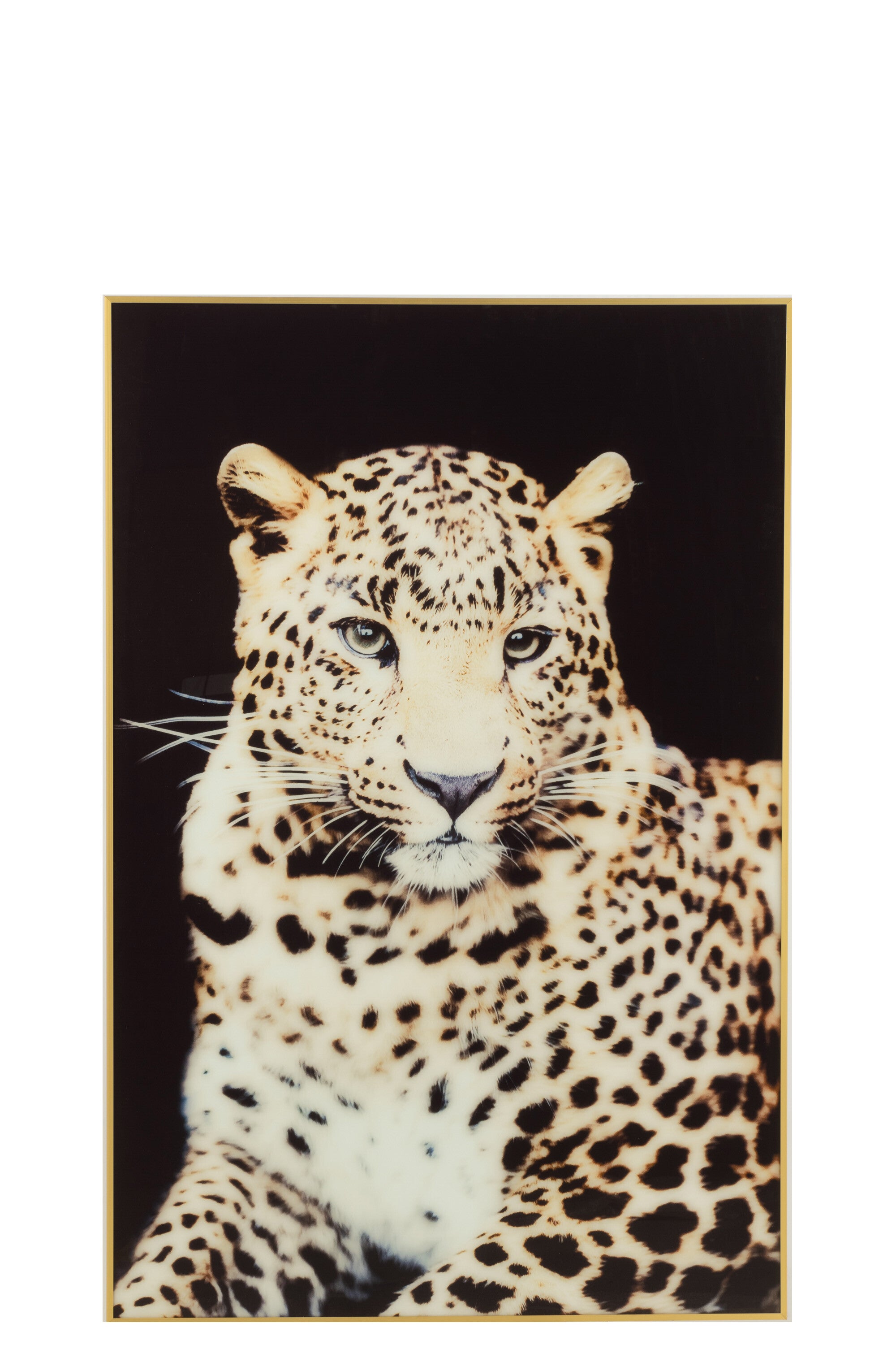 Bild/Wanddekoration Leopard Glas/Aluminium Schwarz/Gold
