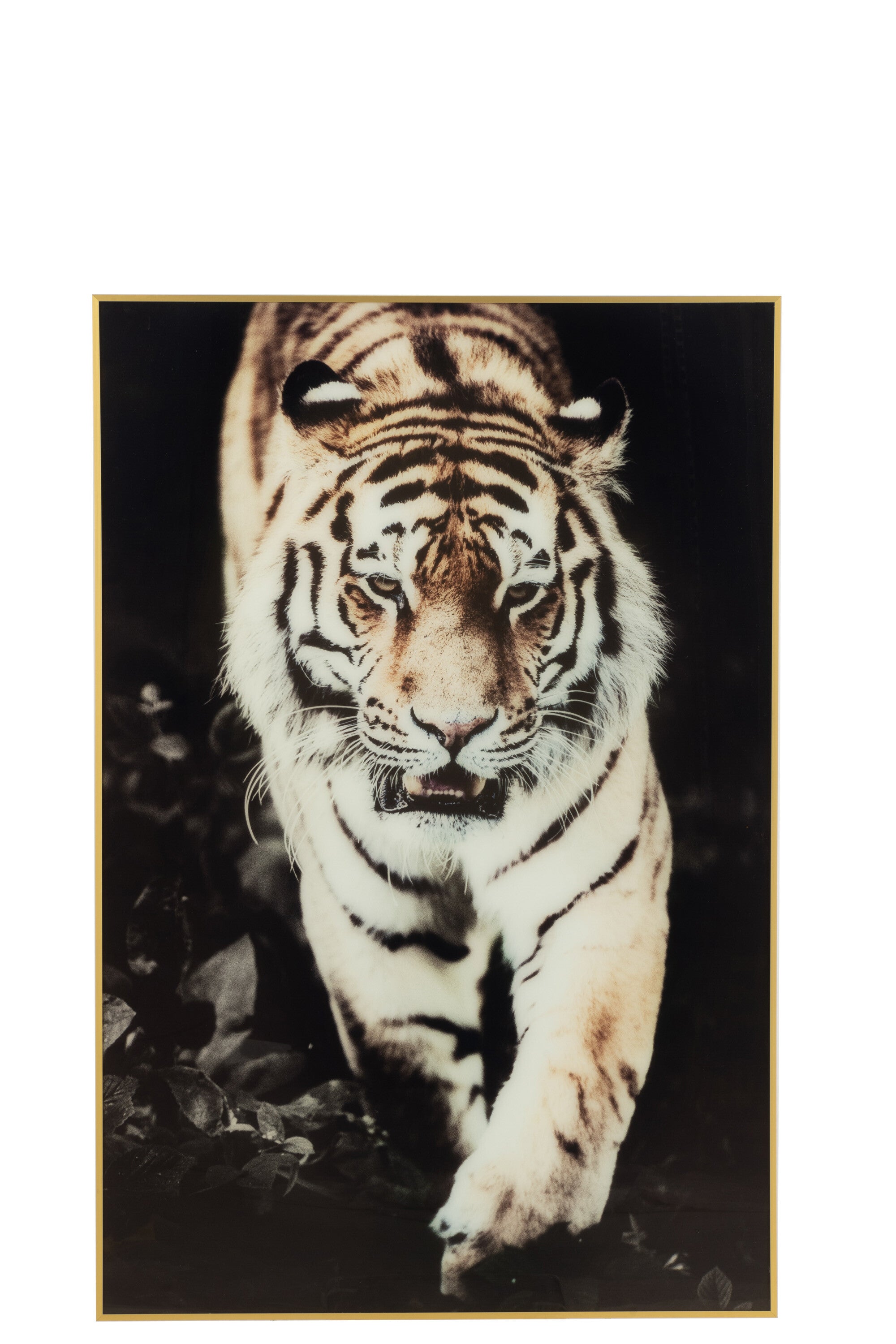 Bild/Wanddekoration Tiger Glas/Aluminium Schwarz/Gold