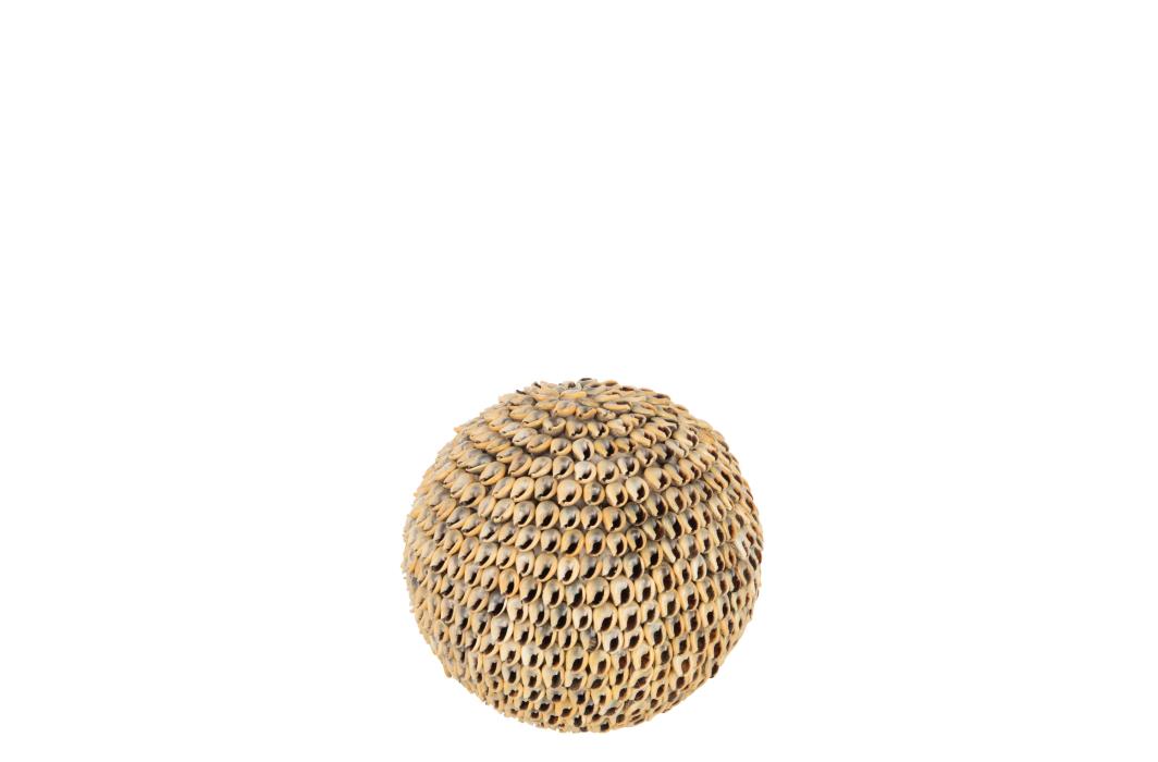 KUGEL MUSCHELN NOA BRAUN LARGE