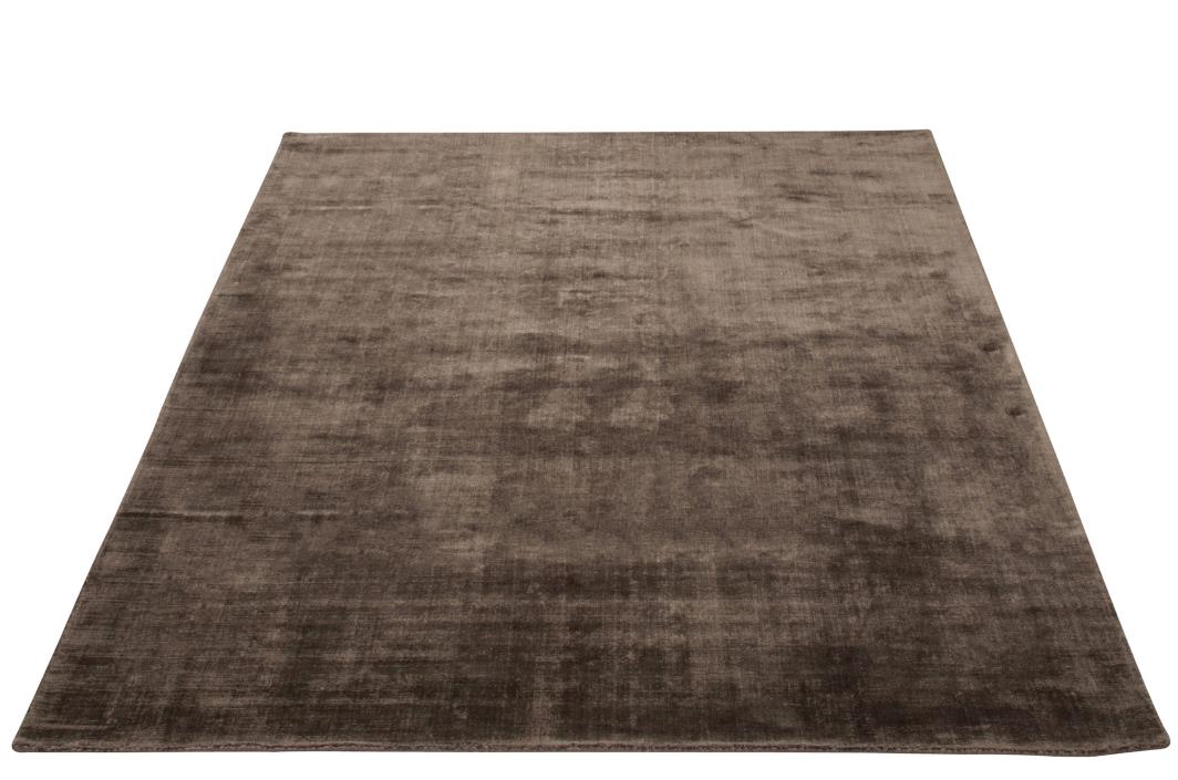 TEPPICH VISCOSE TAUPE 200X300CM (200x300x1cm)