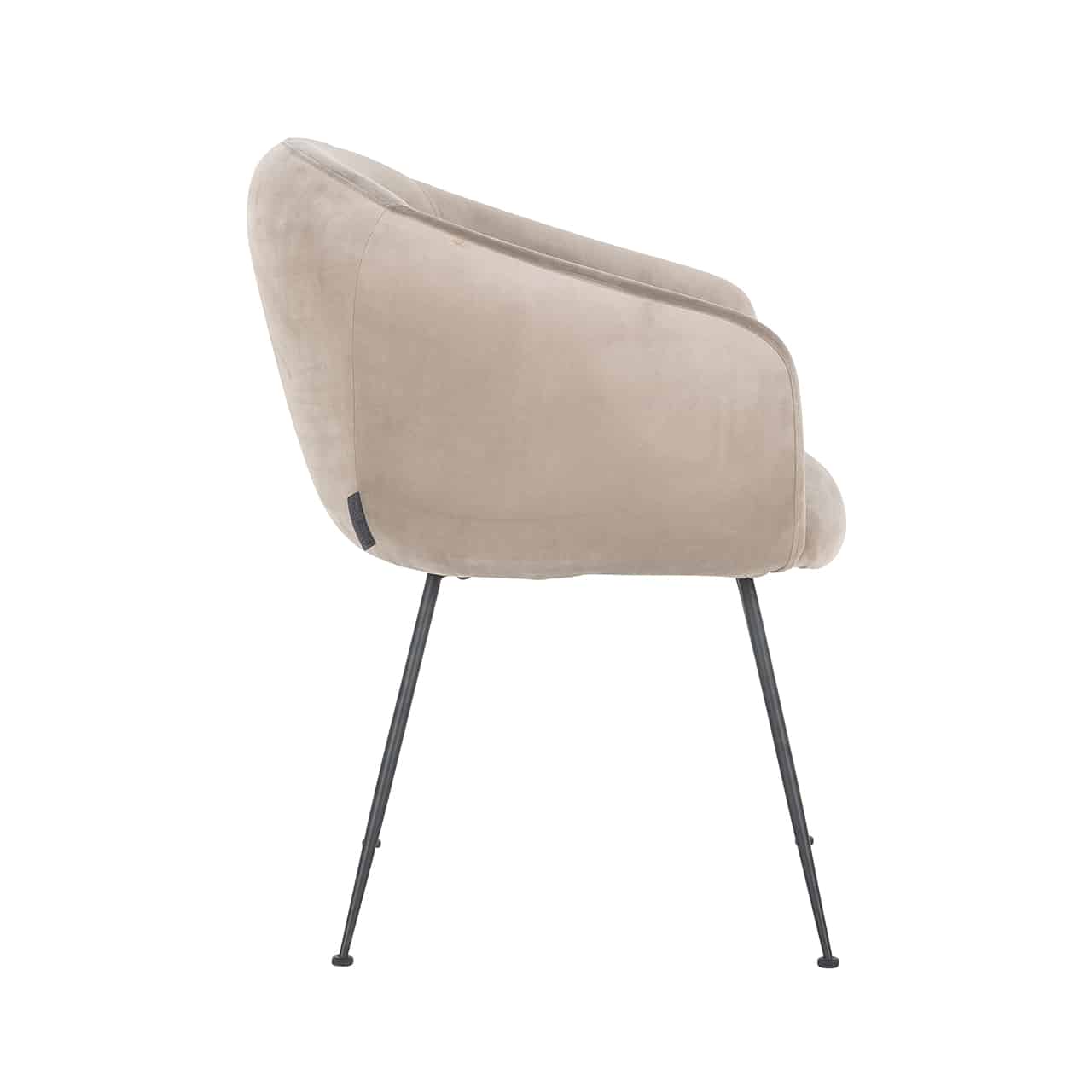 Chair Avanti khaki velvets4564-khaki-velvetrichmond