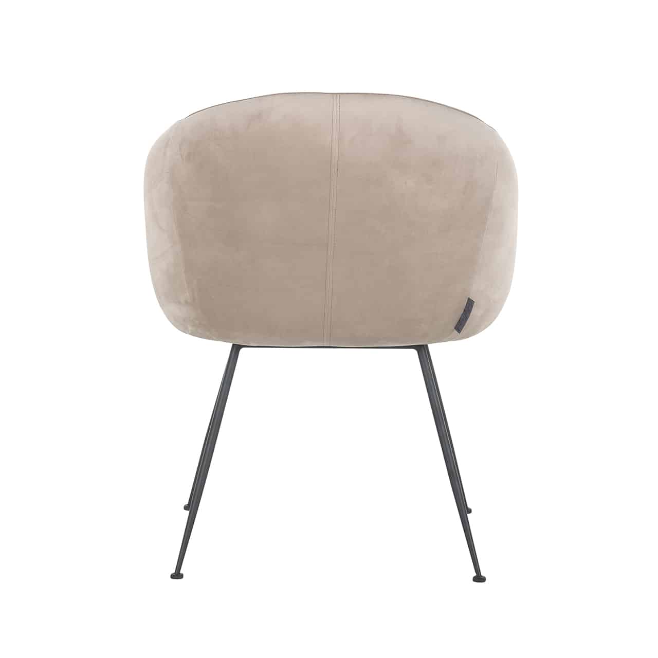 Chair Avanti khaki velvets4564-khaki-velvetrichmond